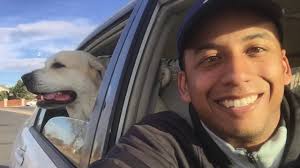 Explore great pyrenees life span data with pictures, origin and history. 6 Year Old Great Pyrenees Anatolian Shepherd Dog Mix Henry Best Dog Trainers In Colorado Youtube
