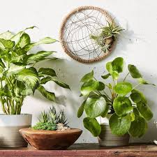 Pin On Living Wall