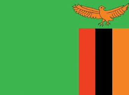 This flag was almost exactly identical to the one in use today with the exception of a shade of green that was slightly darker and an eagle design that was slightly different. Amazon Com Zambia Flag Polyester 3 Ft X 5 Ft Garden Outdoor