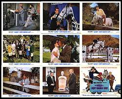 Horse In The Gray Flannel Suit Posters - Buy Horse In The Gray Flannel Suit  Poster Online - Movieposters.com