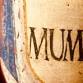 Return of the Mummy: Reconstructing the Past with event image