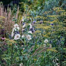 Pin Auf Garden Mix