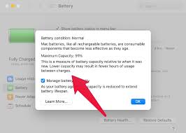 You can see data from the past 24 hours or the past 10 days. How To Check Battery Health On Macbook Mashtips