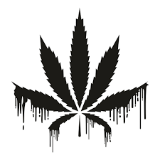 Download Cannabis Dripping Leaf Svg Cannabis Drip Svg Dripping Leaf Marijuana Leaf Svg Cut File Download Jpg Png Svg Cdr Ai Pdf Eps Dxf Format