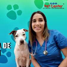 Debe ser un sitio cómodo. Dia Mundial Del Perro Por Que Se Celebra Hoy Y Se Dice Que Son Los Mejores Amigos Del Hombre Maltrato Animal Tercer Domingo De Junio Vida Peru21