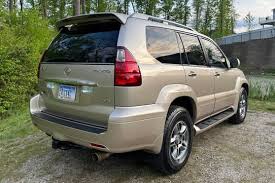 Image result for Savannah 2008 GX