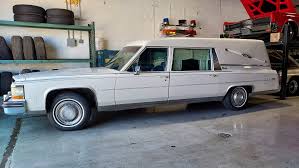 Image result for Heather Firemist 1985 GM