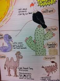 Animal Habitats Desert Anchor Chart Read Non Fiction