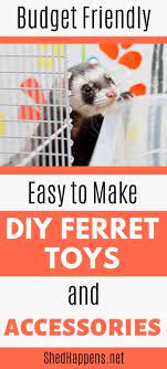 Ferrets are intelligent animals that need a lot of mental stimulation to keep them happy and healthy. Easy To Make Diy Ferret Toys And Accessories Shed Happens