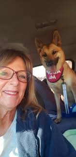 Westside German Shepherd Rescue Hiking Group