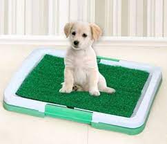 pin on pet shop urunleri