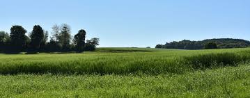 Das thema dieses fotos ist landschaft, schöne landschaft, ungarn. Wohnmobiltour Nach Kecskemet In Ungarn Die Weltenbummler
