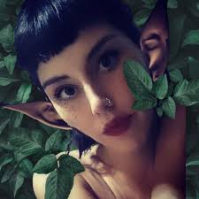 Tripsst! Creator Community