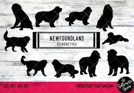 Newfoundland Dog Svg Dog Svg Dog Monogram Svg Dog Svg Files Etsy Silhouette Vector Newfoundland Dog Dog Silhouette