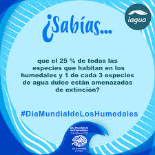Para isso, todos os anos o dia mundial da água aborda um tema específico sobre este mineral de extrema e absoluta importância para a existência da. Dia Mundial De Los Humedales 2021 Los Humedales Y El Agua Iagua