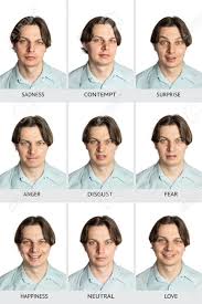 Full Chart Of Universal Human Microexpressions With Names