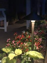 Landscape Lighting Landscape Lighting Led Landscape Lighting Outdoor Flowers
