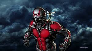 ant man wallpapers top free ant man