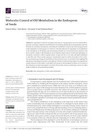 Paris expérimente l'ouverture de cours d'école au public le samedi. Pdf Molecular Control Of Oil Metabolism In The Endosperm Of Seeds