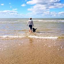 Sie Sind Auf Der Suche Nach Den Besten Tipps Fur Ihren Urlaub In Callantsoog Wir Nennen Ihnen Die Besten Aktivitaten Und Sehenswurdigkei Urlaub Ausflug Touren