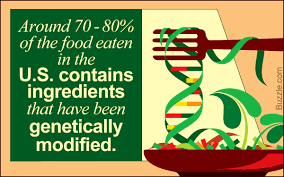 A brief note on the pros and cons of genetically modified foods people that normally would not be allergic to the non gm food could be allergic to the genetically modified version because scientists insert genes from other organisms. Ethical Dilemma The Pros And Cons Of Genetically Modified Organisms Biology Wise