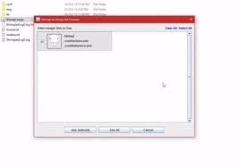Well now you kind of can! Download Shimeji Ee Desktop Pet For Windows 2 1