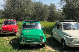 Image result for Green 1960 Fiat