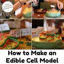 Maybe you would like to learn more about one of these? 10 Awesome Ways To Make A Cell Model Weird Unsocialized Homeschoolers