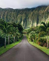Hoomaluhia Botanical Garden Oahu Bali Paysage Indonesie Paysage Ubud Bali