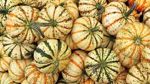 Image result for carnival acorn squash