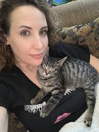 Lost cat Muffins wearing Star Wars collar