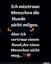 Ich Misstraue Menschen Die Hunde Nicht Mogen Lustige Bilder Spruche Witze Echt Lustig Spruche Witze Lustige Spruche