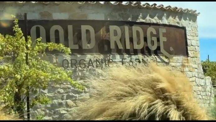 Sogno californiano biologico all’europea (con macchinari italiani)