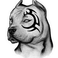 Wolfteam Programsiz Nakit Hilesi 19 03 2015 Oyun Hileleri Hayvan Cizimi Pitbull Graffiti Sanat