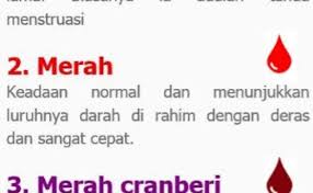 Jika darah haid yang menghitam dibarengi dengan gatal dan rasa perih pada vagina, ada baiknya untuk memeriksakan diri ke dokter. Teamrayaoffice On Twitter Warna Darah Haid Kita Cute766
