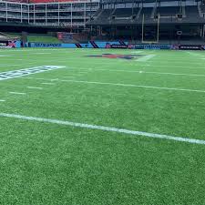 In total, 119, 233 square feet of shaw sports turf's legion nxt turf will be installed at totowa field. Legion Nxt Sports Turf Shaw Sports Turf Caddetails