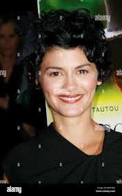 Audrey design -Fotos und -Bildmaterial in hoher Auflösung