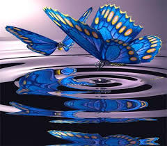 Butterfly Pool Desktop Nexus Wallpapers Beautiful Butterflies Butterfly Art Blue Butterfly
