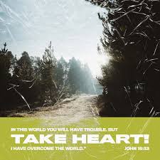 One of the unfortunate byproducts of living in a sinful, fallen world is that every person, christian or not, experiences pain and suffering and disappointment in this life. John 16 33 I Have Told You These Things So That In Me You May Have Peace In This World You Will Have Trouble But Take Heart I Have Overcome The World