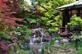 Japanese Hospitality Garden Chelsea Flower Show 2018 Chelsea Flower Show Chelsea Flower