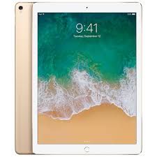 You'll pay $200 each time you double the storage, so pricing is as follows the ipad pro already delivered more power than most of the laptops we test, and the a12z adds another gpu core for better graphics performance. Refurbished 12 9 Inch Ipad Pro Wi Fi 256gb Gold 2nd Generation Apple Uk