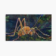 Camel cricket, also called cave cricket or spider cricket (images 1 & 2), gets its name from the humped back like a camel and long legs, which make indoors they are attracted to cool, moist/humid areas such as storage buildings, garages, crawlspaces, basement or areas where moisture may be a. Asian Camel Cricket Painting 2017 Art Board Print By Gwennpaints Redbubble