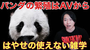 パンダはポルノで繁殖出来る？: 都市伝説 オカンとボクと、時々、イルミナティ