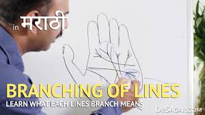 Branching Of Lines In Hand Palmistry In Marathi Youtube