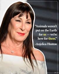 Kimberly Harness's Instagram, Twitter & Facebook