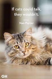 25 Best Cat Quotes That Perfectly Describe Your Kitten Funny And Cute Cat Quotes