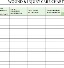 62 Interpretive Wound Chart Template