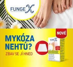 Image result for mykoza nehtů