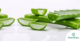 Apply to face and neck. 9 Aloe Vera Benefits For Face And Skin Pharmeasy Blog