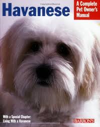 Discover the tiny havanese dog! Havanese Complete Pet Owner S Manual Riggsbee Nikki 9780764133893 Amazon Com Books